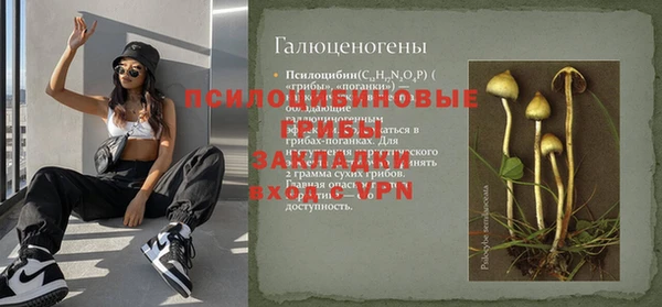 эйфоретик Аркадак