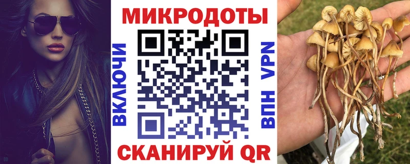 Галлюциногенные грибы GOLDEN TEACHER kraken как войти Малоярославец